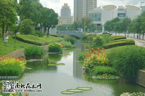 水景动物3