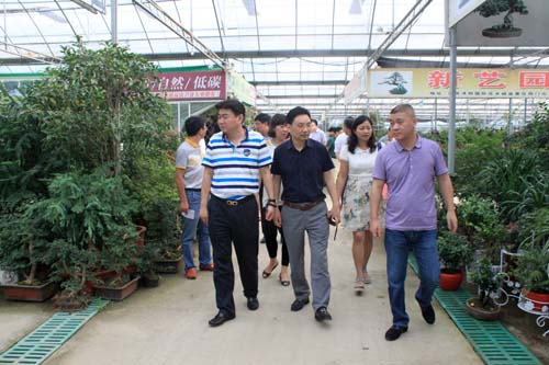 抚玩沭阳国际花木城盆景区