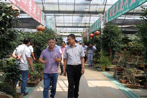 花木城总司理刘攀峰