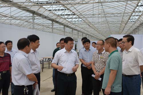 沭阳县委布告胡建军