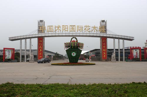 沭阳国际花木城