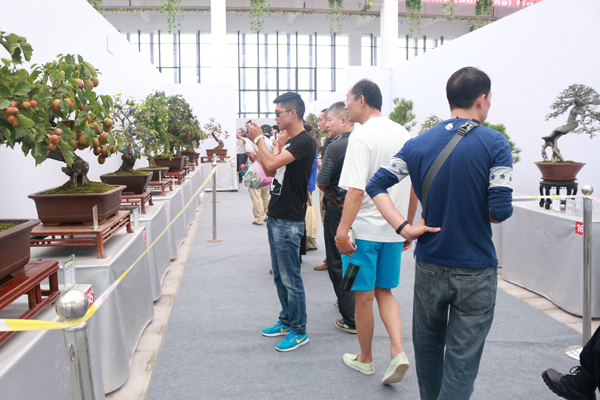 沭阳国际花木城园艺中间外部展品1