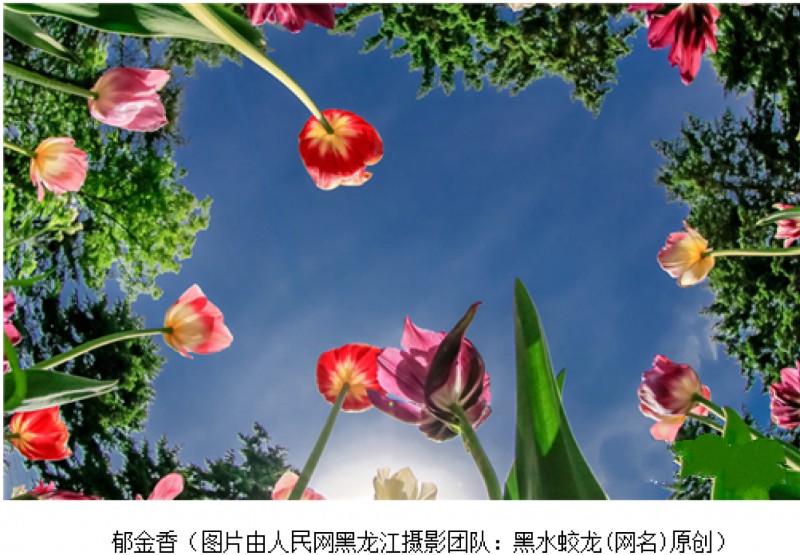速率-01