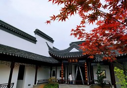 沭阳县寓农于乐鞭策休闲农旅强农富农