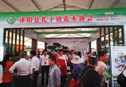 沭阳县扎下镇花木协会