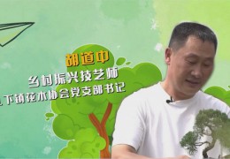 沭阳“新农夫”胡道中：“矩阵直播”带“飞”苗木财产