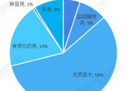 2022年中国盆栽动物行业成长近况及市场范围阐发