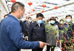 沭阳县委布告彭伟——“支部赋能”打造花木财产集群