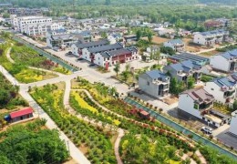喜迎二十大•不凡十年丨沭阳：“农”墨重彩谱“兴”篇
