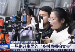[国民网]江苏沭阳：培养村落电商新业态兴起农人“荷包子”