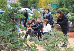 [花费日报网]江苏沭阳新河镇：花木特点财产 铺就村落复兴富民路