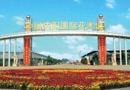 【勾当招商】2023第十届沭阳花木节苗木盆景资材展销会将于9月底进行！