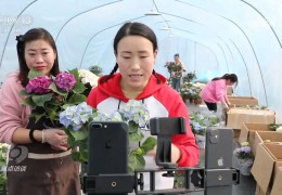 《核心访谈》聚焦沭阳花木财产